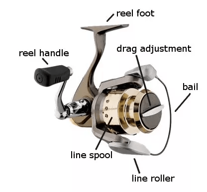 Important Parts of Spinning Reels