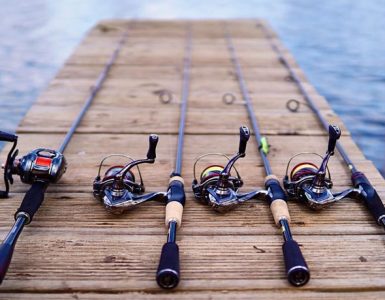 Best saltwater fishing rods